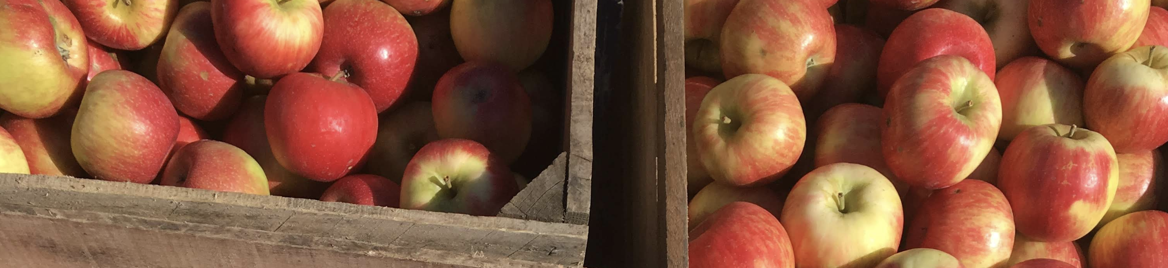 Image of apples in wooden crates