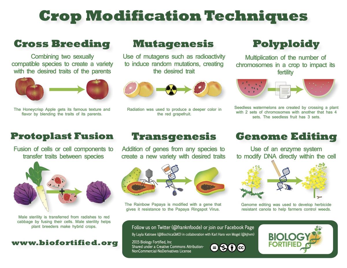 Info-graphic of crop Modification techniques 